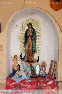 Guadalupe 232