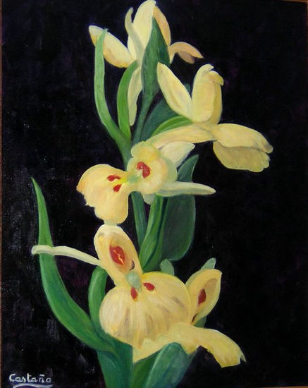 ORQUÍDEAS -4 Oil Canvas Floral Painting