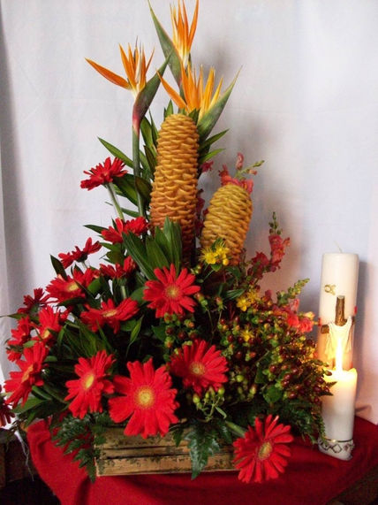 Flores i