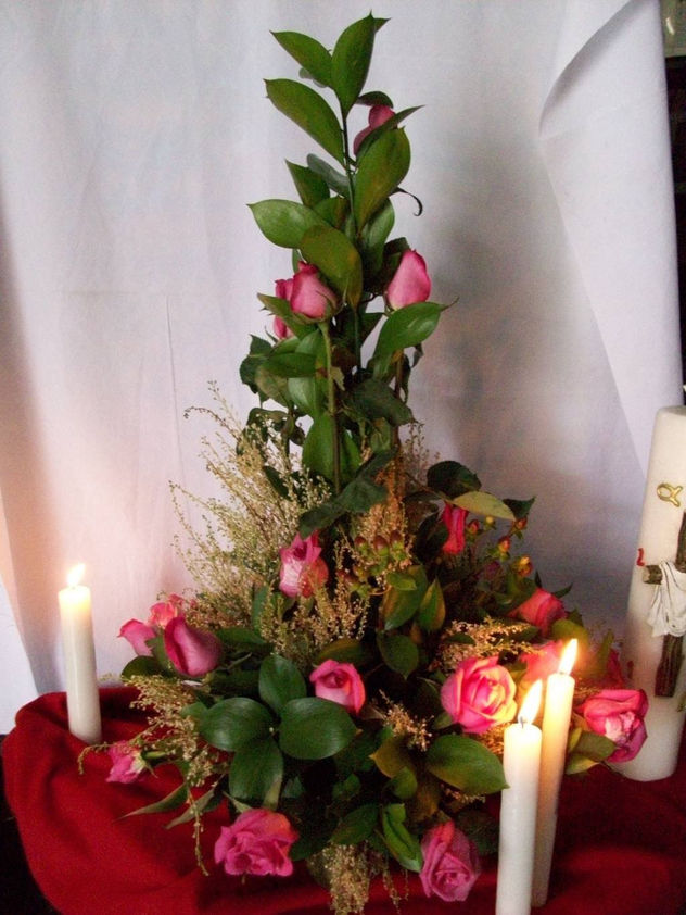 FLORES II