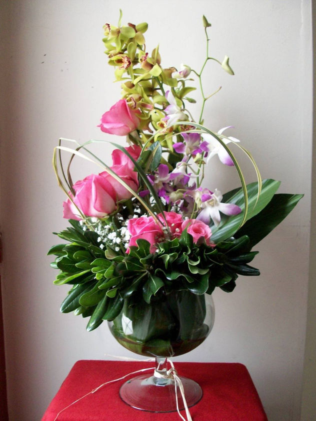 FLORES III