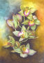 Ramo de Orquideas