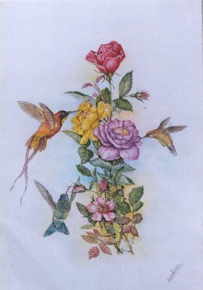 Colibris en Rosal