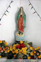 Guadalupe 231