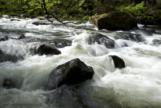 Río en primavera II 