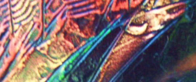 From the Kingdom's Textures:"Space II"