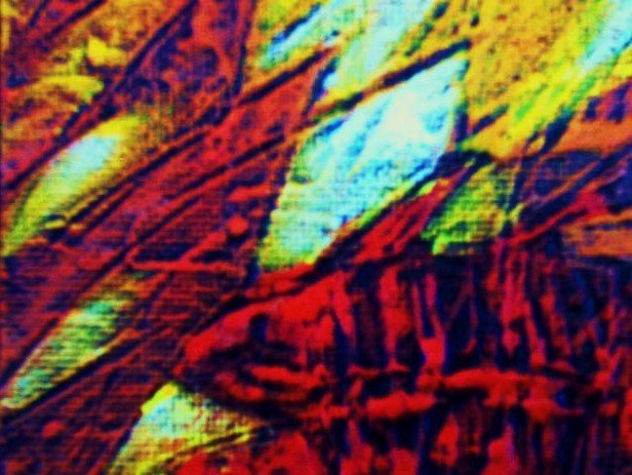From the Spirit's Garden: "Fossil  Rojo II"