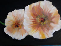 Amapolas