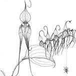 SurBotanica thumbnail 1