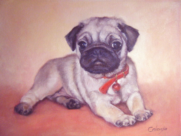 Pug Oil Canvas Animals