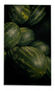 sandias