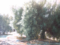 Olivos