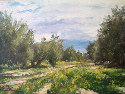 Olivos y jaramagos