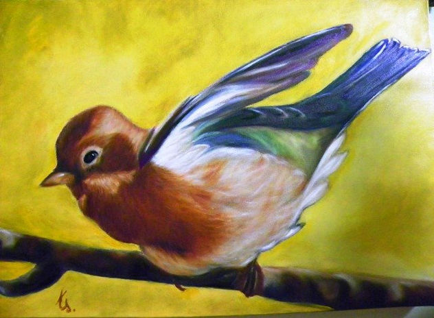 PAJARO 2