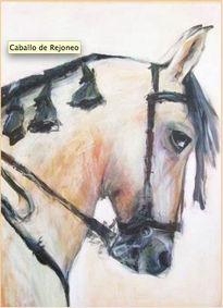 Caballo de Rejoneo