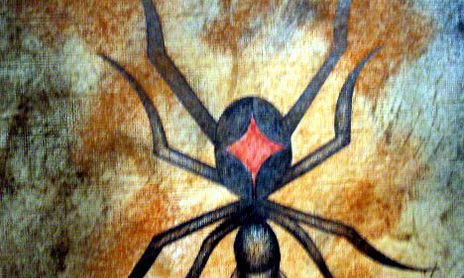 insectos