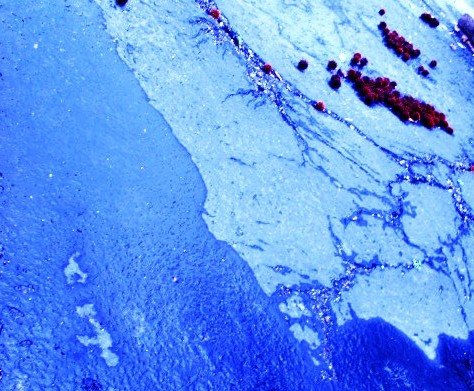 islas en medio  oceano
