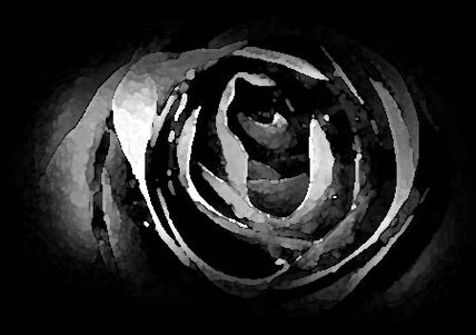 Rosa Hola