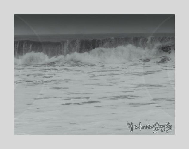 La Mar grises Nature Black and White (Digital)