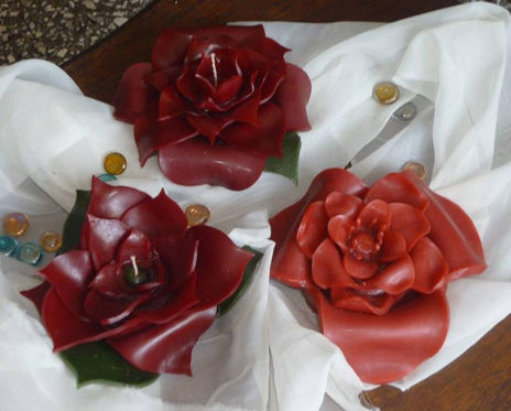 Grupo de flores