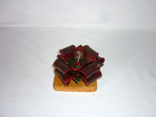 flor2