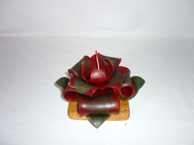 flor 4