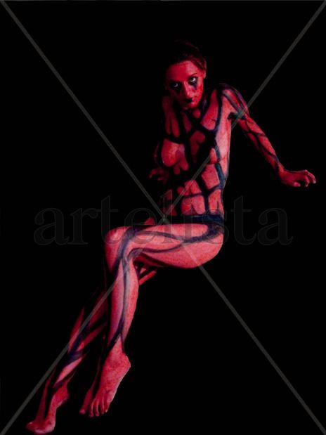Cuerpos