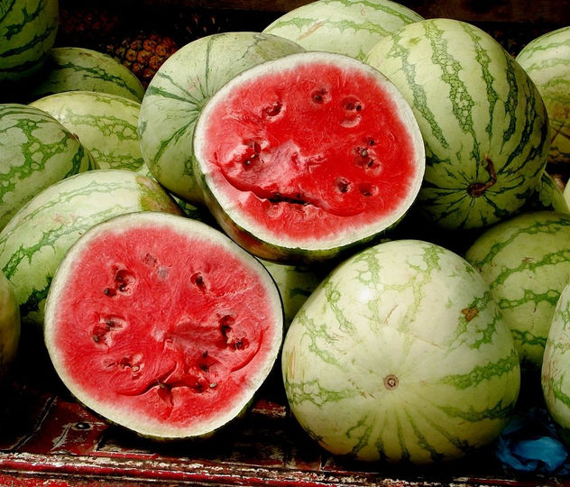 Sandia Watermelon Papilla