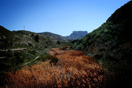 Río de juncos