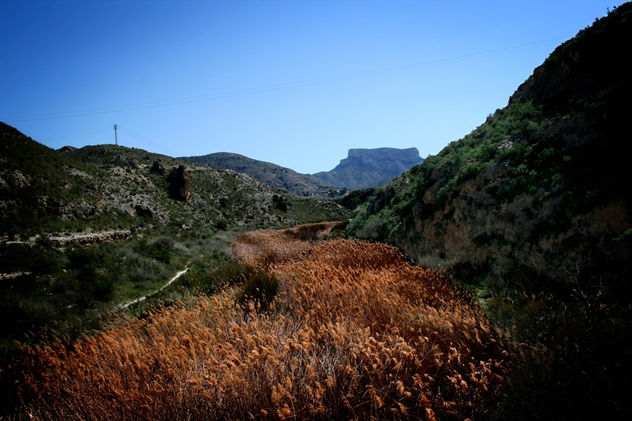 Río de juncos