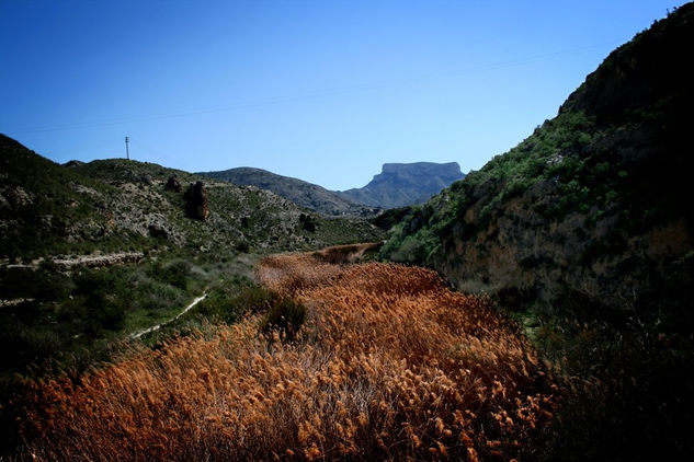 Río de juncos 