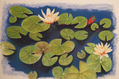 nenufares