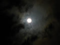 " MIRADA DE LUNA "