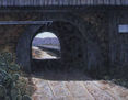 PAISAJE DE EL PALMAR