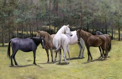 Caballos de Gredos