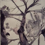 ensayos acuarela thumbnail 1