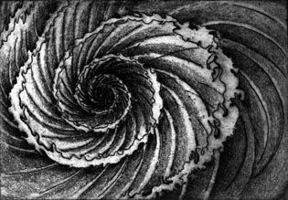 Caracol