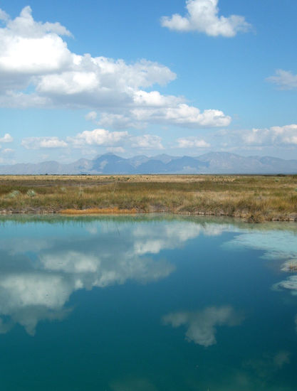 Pozas Azules, Desierto de Coahuila Óleo Lienzo Paisaje