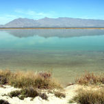 Cuatro Cienegas Coahuila thumbnail 1