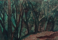 Garajonay, bosque...