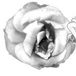 2001 thumbnail 2