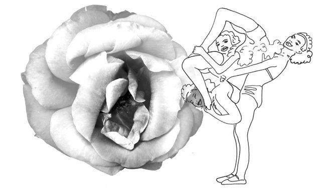 rosa bn