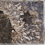 SALINAS thumbnail 1