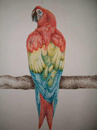 GUACAMAYO Pencil