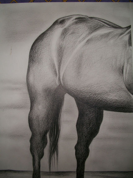 Trasero de caballo
