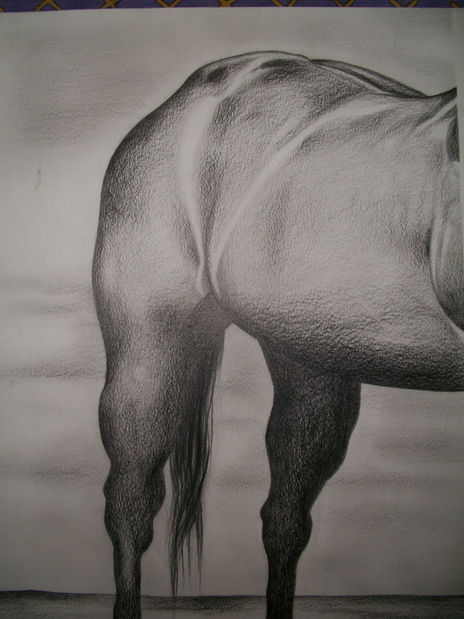 Trasero de caballo