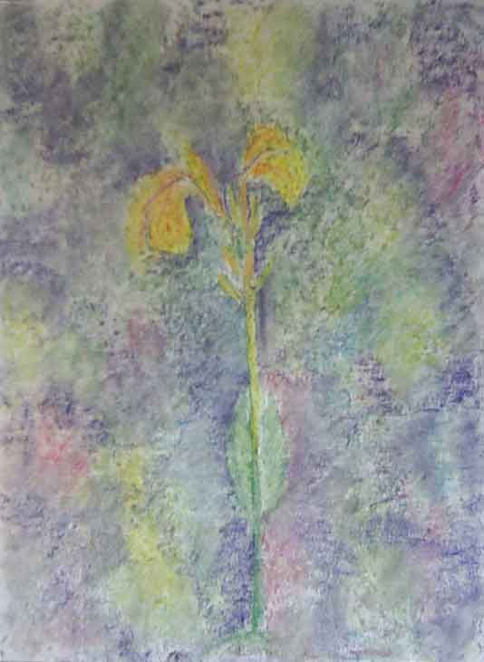 primavera