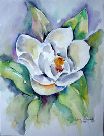 Flor de magnolia