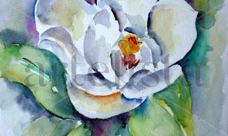 FLORES
