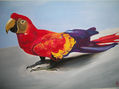 GUACAMAYO